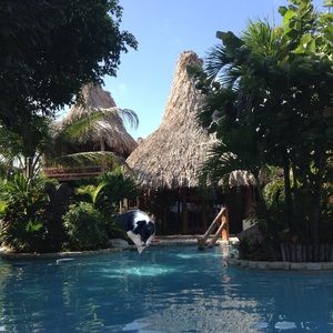 Meet your Posher, Zita